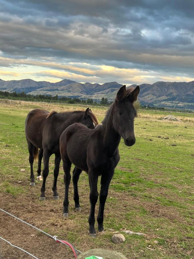 Sherwood Ranch Cottages - 403 Woodbank Road Hanmer Springs Extérieur photo